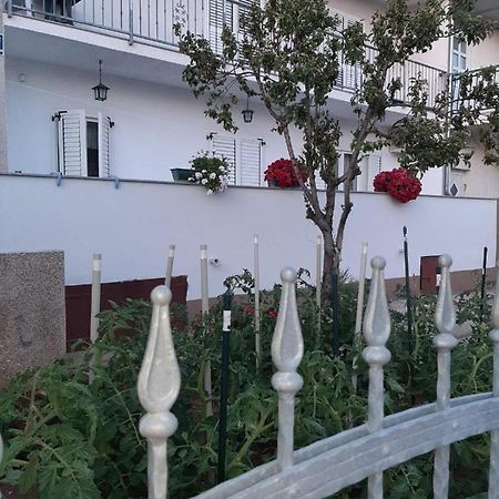 Apartment Bracic Vodice Exteriér fotografie